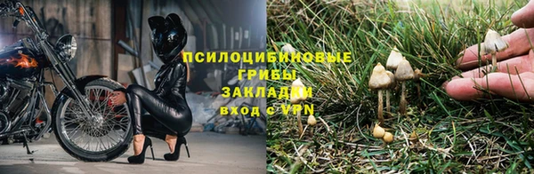 2c-b Богородск