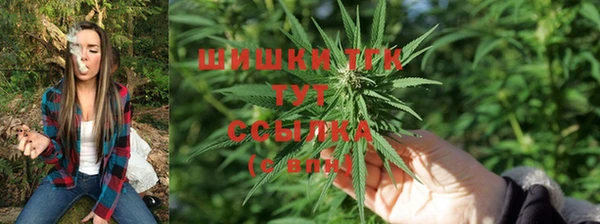 MESCALINE Верея