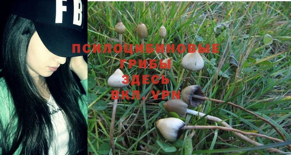 МДПВ Бугульма