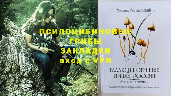 гашик Верхний Тагил