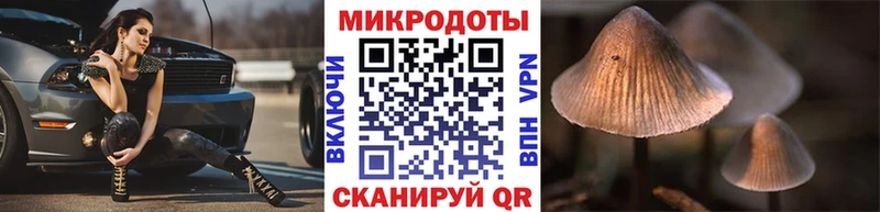Псилоцибиновые грибы Cubensis  купить наркоту  Железноводск 